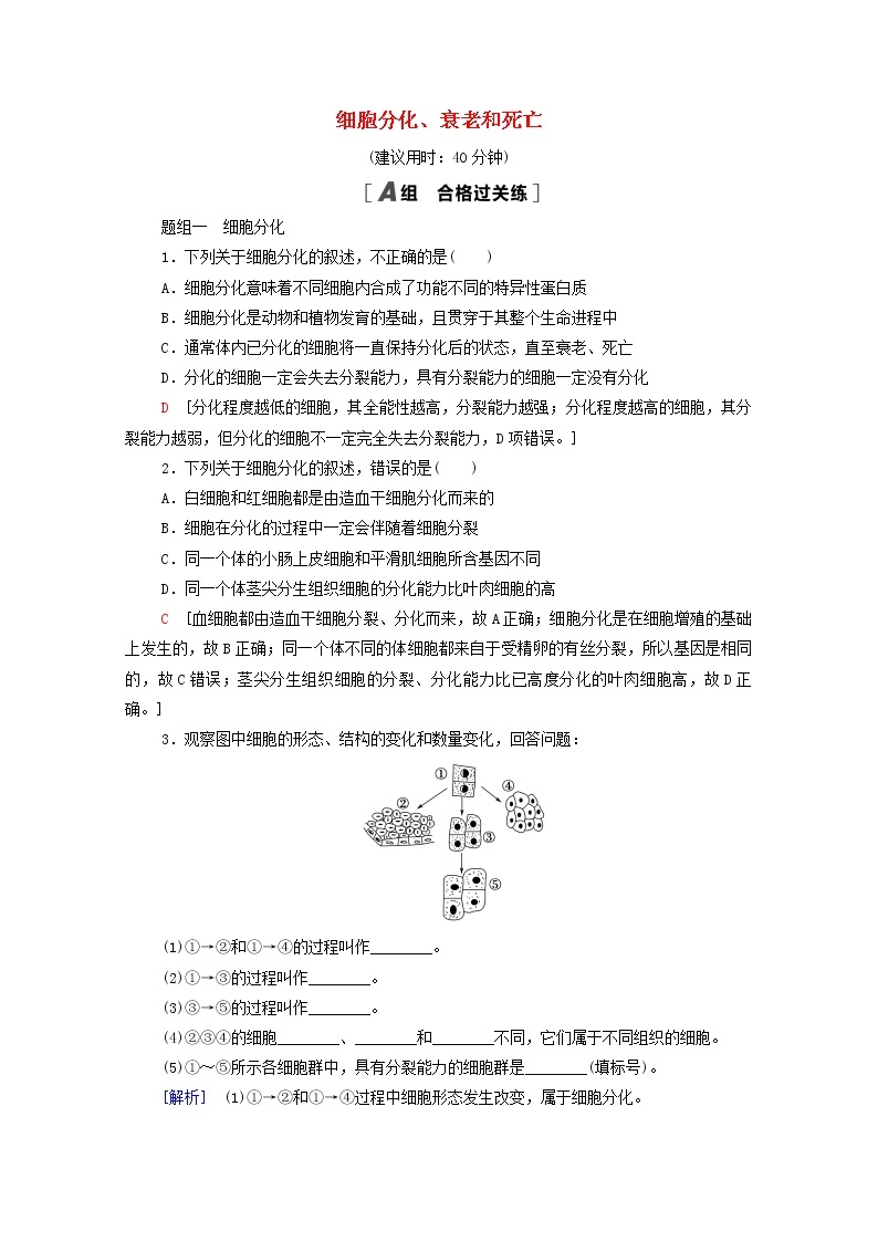 高中生物第四章细胞增殖分化衰老和死亡第2节细胞分化衰老和死亡课后练习含解析苏教版必修101