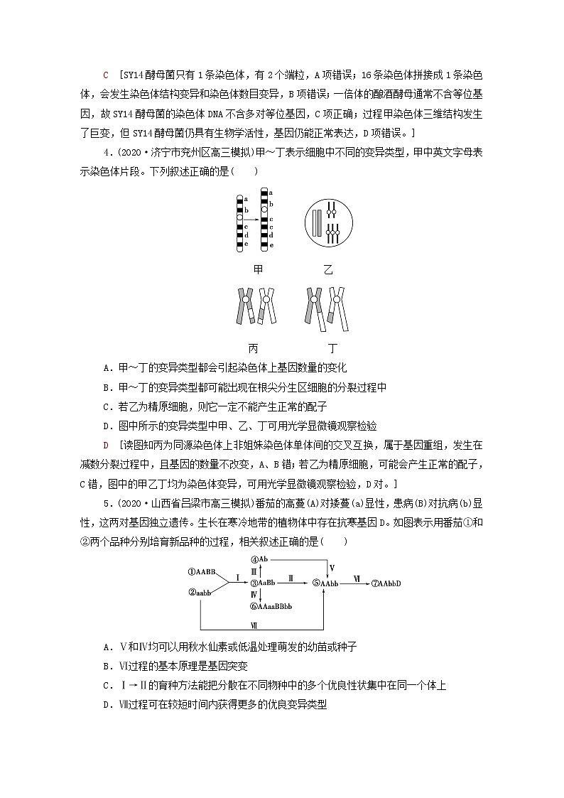 2022届高考生物一轮复习课后限时集训22染色体变异与生物育种含解析新人教版第2页