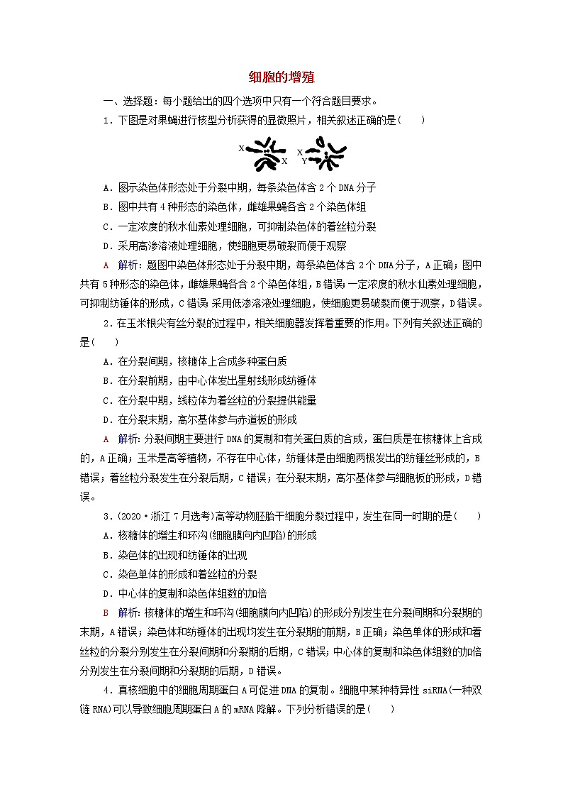 2022版高考生物一轮复习课时评价10细胞的增殖含解析新人教版第1页