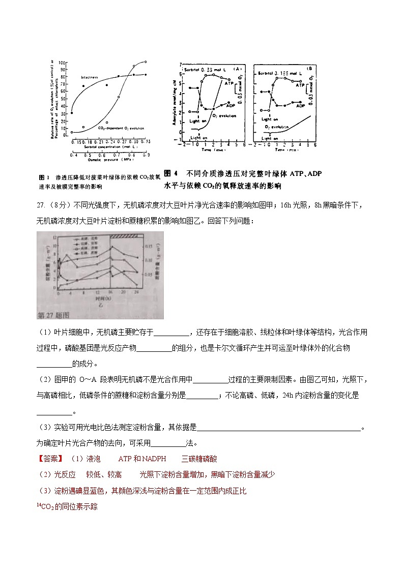 专题03 光合作用-五年(2017-2021)高考生物真题分项汇编(浙江专用)(解析版)第2页