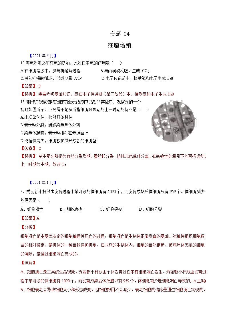 专题04 有丝分裂和减数分裂-五年(2017-2021)高考生物真题分项汇编(浙江专用)(解析版)第1页
