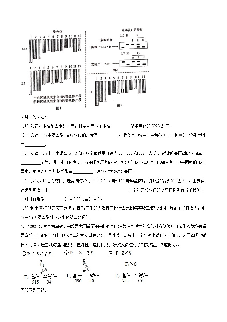 专题17 遗传的基本定律综合-五年（2017-2021）高考生物真题分项详解（全国通用）（原卷版）03