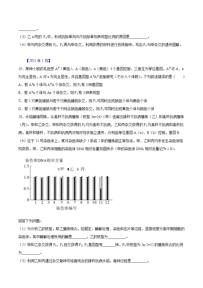 专题05 遗传规律-五年（2017-2021）高考生物真题分项汇编（浙江专用）（原卷版）02