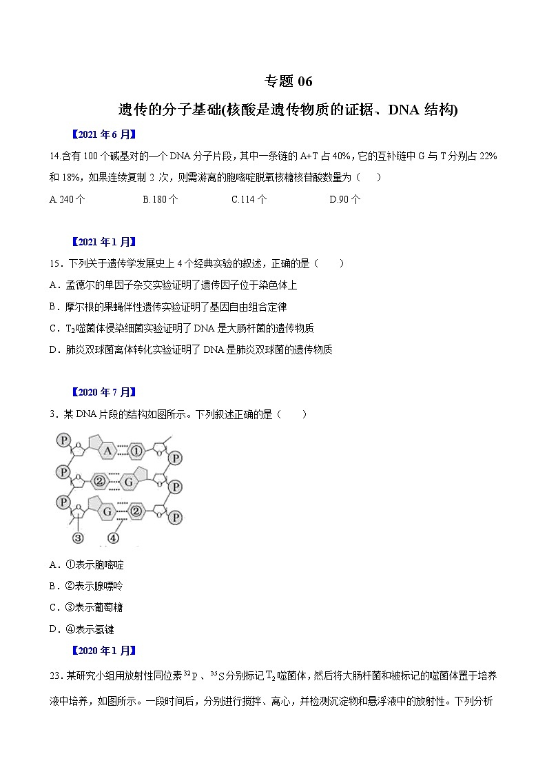 专题06 遗传的分子基础-五年(2017-2021)高考生物真题分项汇编(浙江专用)(原卷版)第1页