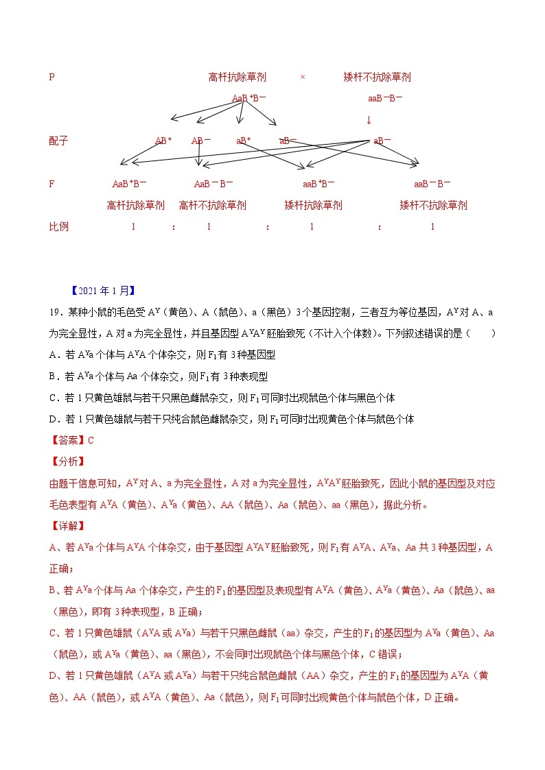 专题05 遗传规律-五年（2017-2021）高考生物真题分项汇编（浙江专用）（解析版）03