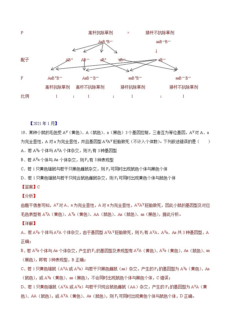专题05 遗传规律-五年(2017-2021)高考生物真题分项汇编(浙江专用)(解析版)第3页