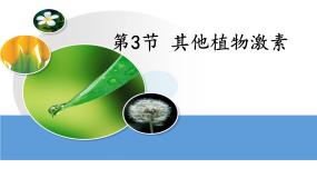 高中生物人教版 (新课标)必修3《稳态与环境》第3节 其他植物激素备课课件ppt