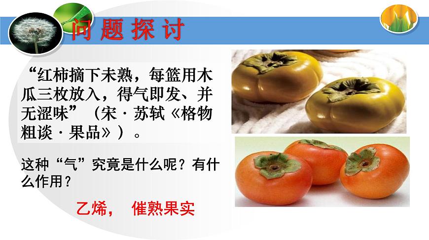 高中生物人教版必修三 3.3 其他植物激素課件PPT第2頁(yè)