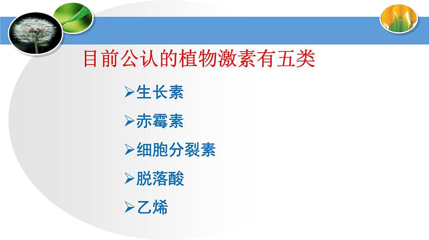 高中生物人教版必修三 3.3 其他植物激素課件PPT第5頁(yè)