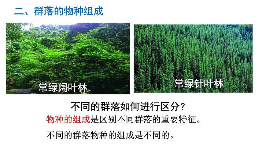 高中生物人教版必修三 4.3 《群落的結(jié)構(gòu)》課件PPT第5頁(yè)