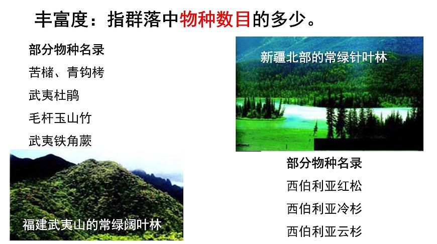 高中生物人教版必修三 4.3 《群落的結(jié)構(gòu)》課件PPT第6頁(yè)