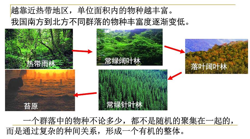 高中生物人教版必修三 4.3 《群落的結(jié)構(gòu)》課件PPT第7頁(yè)