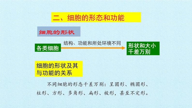 第一单元第一章细胞概述复习课件   中图版高中生物必修106