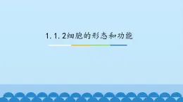 1.1.2细胞的形态和功能 中图版高中生物必修1  课件