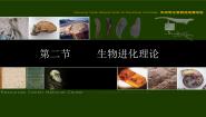 高中生物沪科版第三册第9章 生物进化第2节 生物进化理论教学演示课件ppt