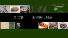 沪科版生物高中第三册-9.2  生物进化理论  课件