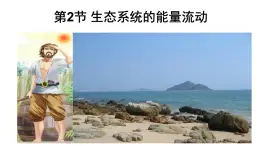 生态系统的能量流动PPT课件免费下载