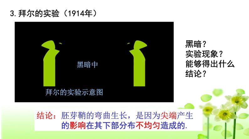 高中生物人教版必修三 3.1 《植物生长素的发现》课件PPT08