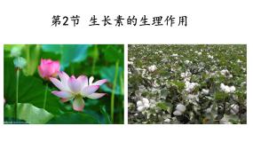 生物第2节 生长素的生理作用课前预习ppt课件