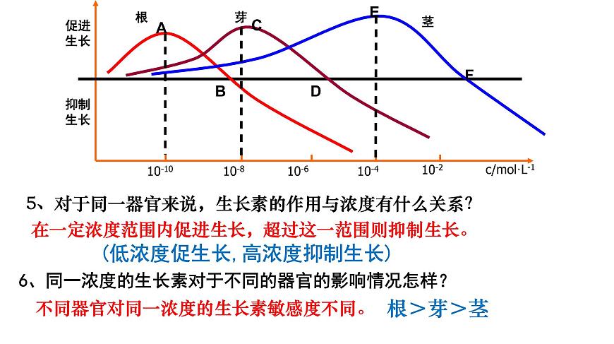 高中生物人教版必修三 3.2  《生長素的生理作用》課件PPT第5頁