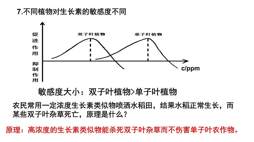 高中生物人教版必修三 3.2  《生長素的生理作用》課件PPT第6頁