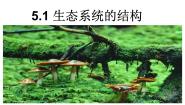 高中生物人教版 (新课标)必修3《稳态与环境》第1节 生态系统的结构背景图ppt课件