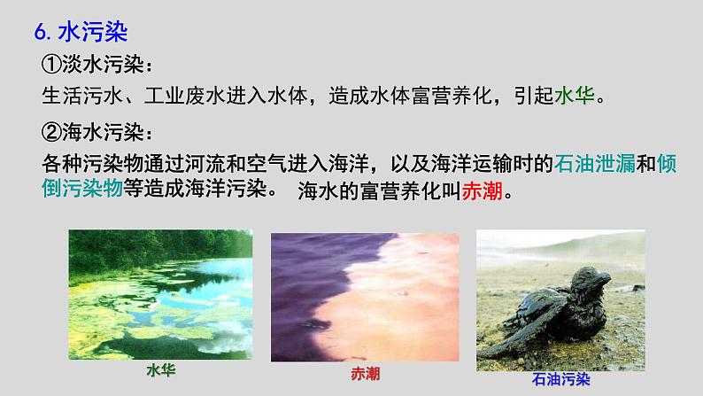 高中生物人教版必修三 6.2 《保护我们共同的家园》课件08