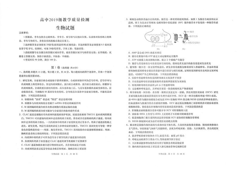 青岛市2021年高三生物期初考试真题及参考答案01