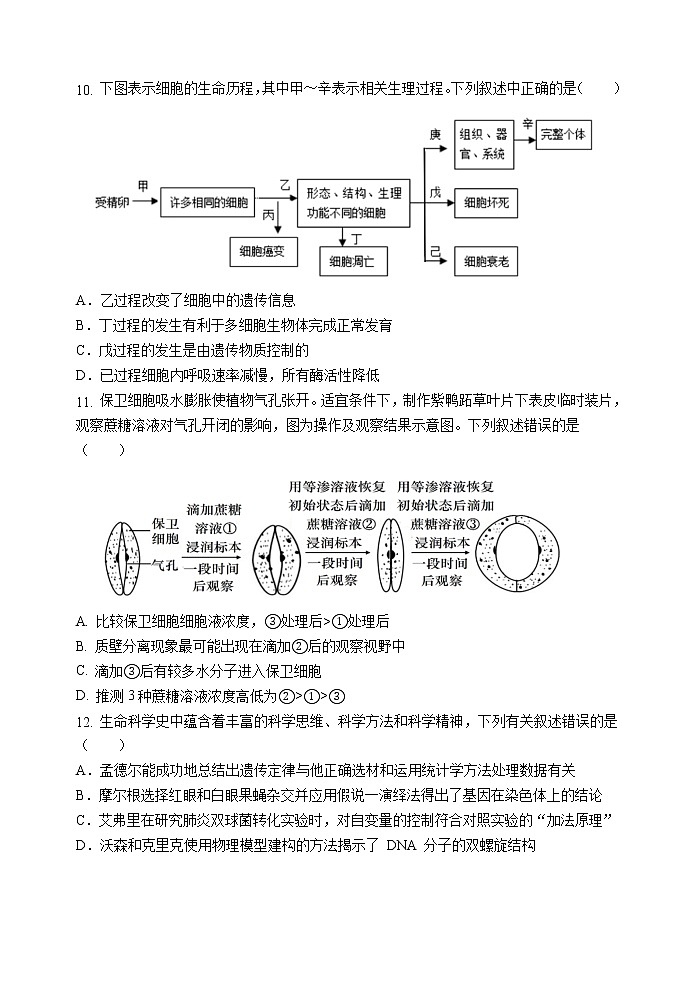 广东省汕头市金山中学2021-2022学年高二上学期开学考试生物Word版含答案练习题第3页