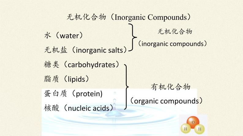 2021-2022学年高中生物浙科版（2019）必修一1.1水和无机盐是构成细胞的重要无机化合物 课件08