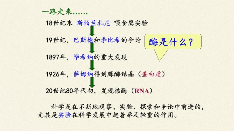 酶是生物催化剂PPT课件免费下载03