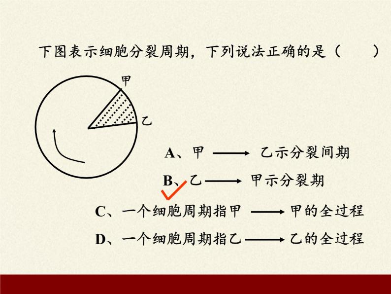 细胞通过分裂增殖PPT课件免费下载06