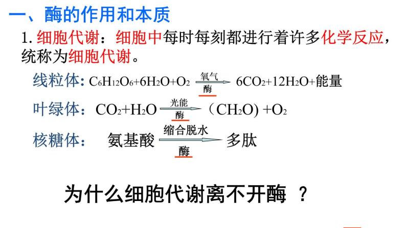 5.1 降低化学反应活化能的酶 课件-【新教材】高一上学期生物人教版（2019）必修一04