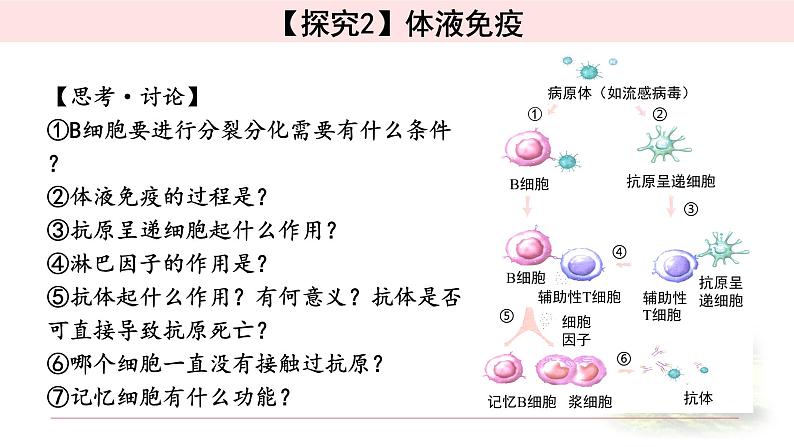 4.2特异性免疫 课件 【新教材】人教版(2019)高中生物选择性必修一第8页
