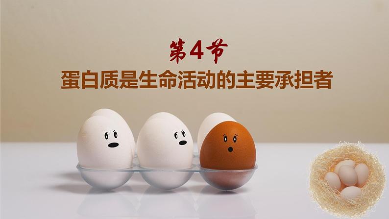 2.4 蛋白质是生命活动的主要承担者 课件-【新教材】高一上学期生物人教版(2019)必修一第1页