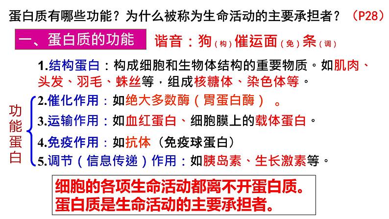 2.4 蛋白质是生命活动的主要承担者 课件-【新教材】高一上学期生物人教版(2019)必修一第4页