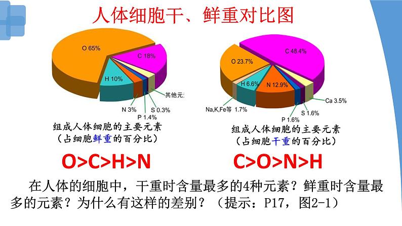 2.1 细胞中的元素和化合物 课件-【新教材】高一上学期生物人教版(2019)必修一07