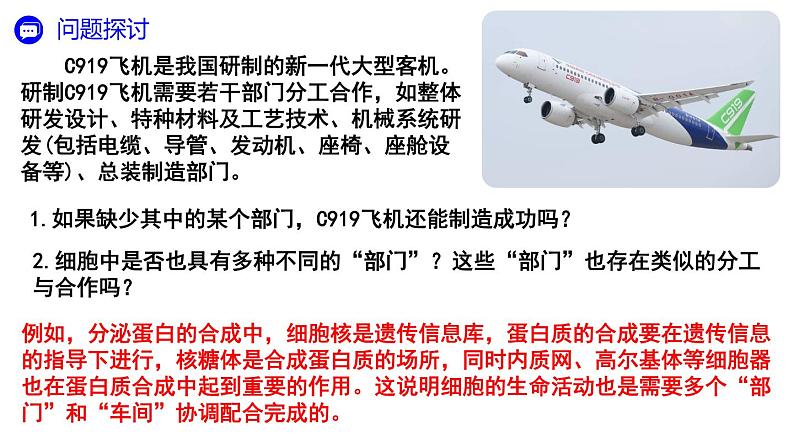3.2 细胞器之间的分工合作 课件-【新教材】高一上学期生物人教版(2019)必修一第2页