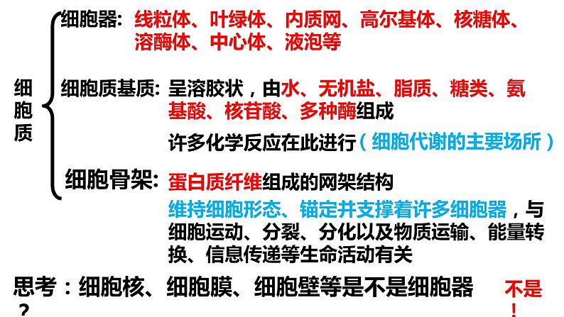 3.2 细胞器之间的分工合作 课件-【新教材】高一上学期生物人教版(2019)必修一第3页