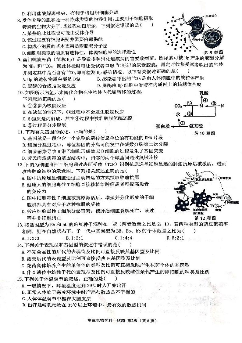 2020届浙江省浙南名校联盟高三上学期第一次联考生物试题 PDF版02