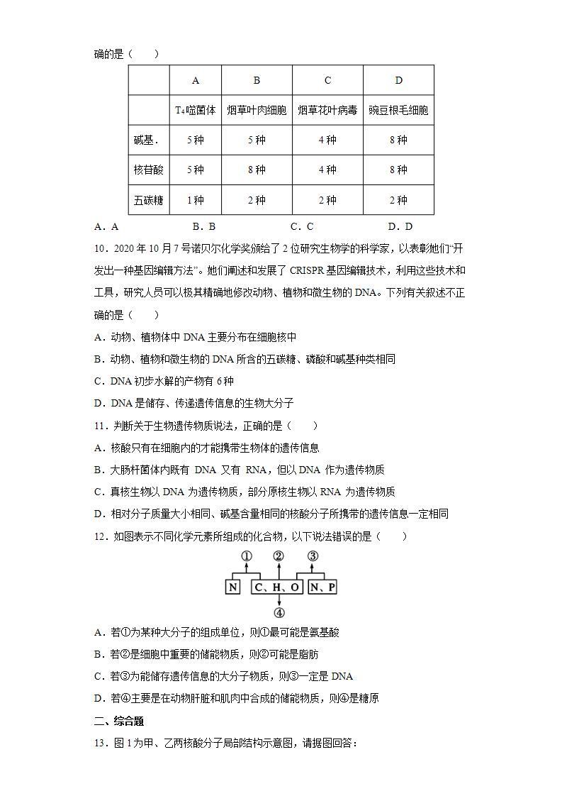 人教版（2019）高中生物必修1 核酸是遗传信息的携带者 试卷03