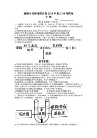 2022届湖南省名校联合体高三上学期10月联考生物试题（PDF版）