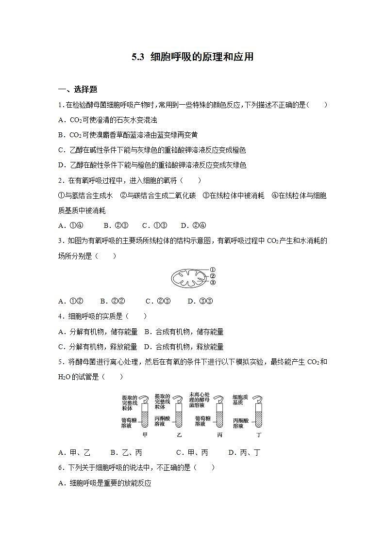 人教版同步教学必修1:5.3 细胞呼吸的原理和应用 作业第1页