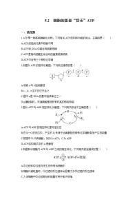 高中生物第2节 细胞的能量“货币”ATP达标测试