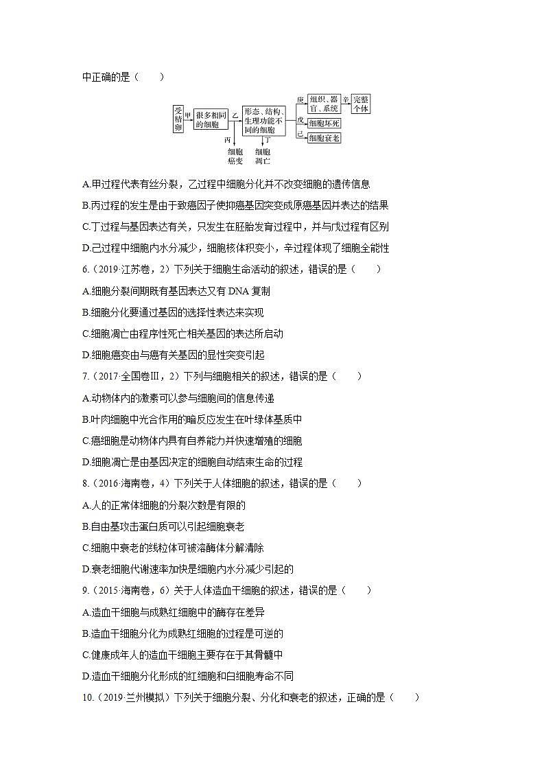 人教版同步教学必修1:6.3 细胞的衰老和凋亡 作业 练习02