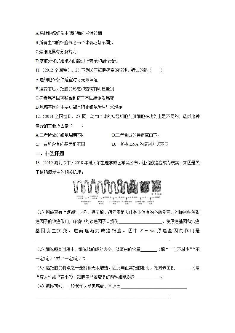 人教版同步教学必修1:6.3 细胞的衰老和凋亡 作业 练习03