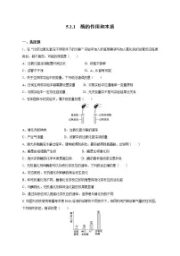 人教版 (2019)必修1《分子与细胞》一 酶的作用和本质课后作业题