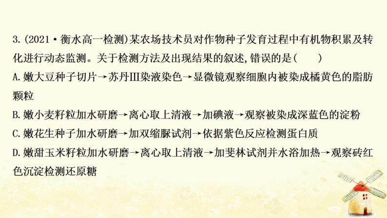 高中生物核心素养培优练一生命观念__细胞中的有机物课件新人教版必修106