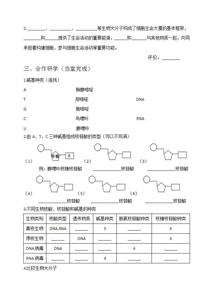 人教版生物必修一学案：第2章第5节《核酸是遗传信息的携带者》(含答案)02