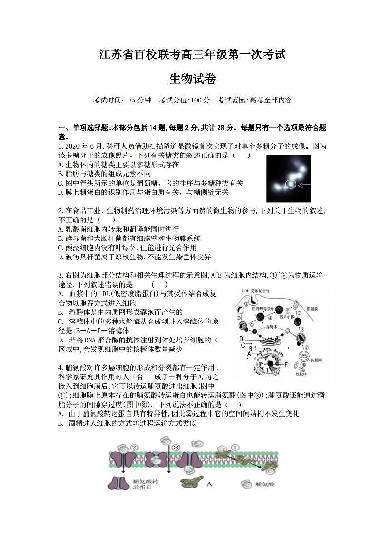 2022届江苏省百校高三上学期第一次联考生物试题(PDF版)01